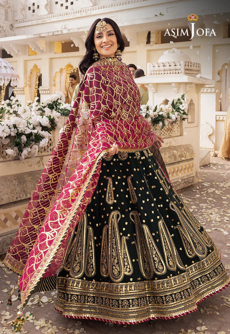Shehnai by Asim Jofa Embroidered Chiffon 3Pc Suit AJSH-11 - Rang-e-Khaas