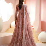Ayzel Luminara Embroidered Net 3Pc Suit AWF-05 EARL