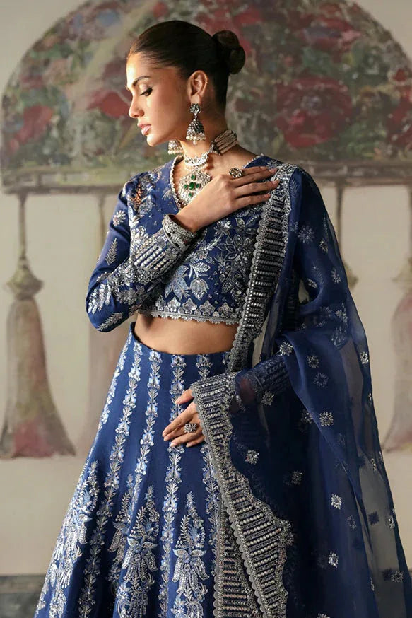Afrozeh | DIVANI SILK EDIT '25 | Nazli - Rang-e-Khaas