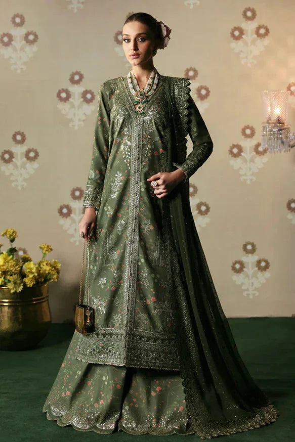 Afrozeh | DIVANI SILK EDIT '25 | Zeba - Rang-e-Khaas