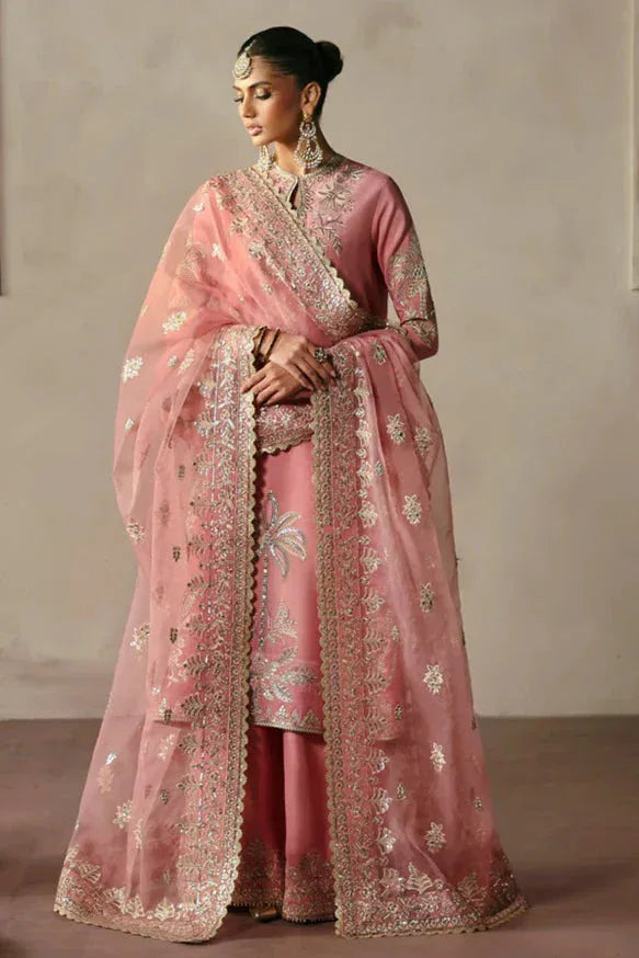 Afrozeh | DIVANI SILK EDIT '25 | Gulrukh - Rang-e-Khaas