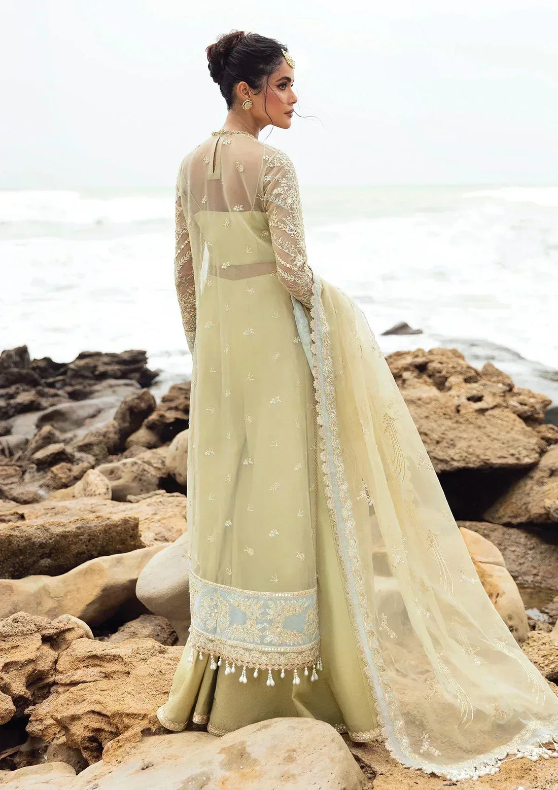 Afrozeh | Dastangoi Wedding Formal'24 | AWE-09 LEELA - Rang-e-Khaas