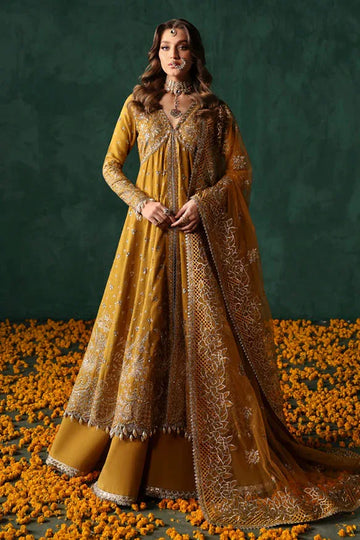 Afrozeh | Divani Silk Edit 25 |  Jahanbano - Rang-e-Khaas