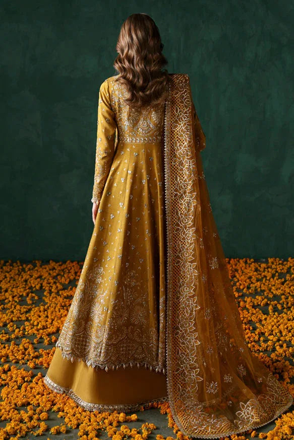 Afrozeh | Divani Silk Edit 25 |  Jahanbano - Rang-e-Khaas