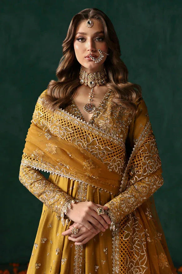 Afrozeh | Divani Silk Edit 25 |  Jahanbano - Rang-e-Khaas