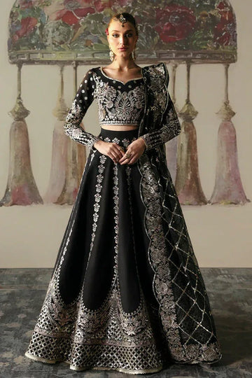 Afrozeh | Divani Silk Edit 25 | Husnara - Rang-e-Khaas