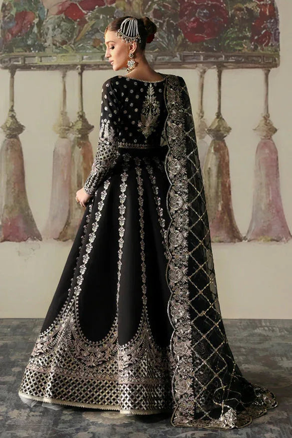 Afrozeh | Divani Silk Edit 25 | Husnara - Rang-e-Khaas