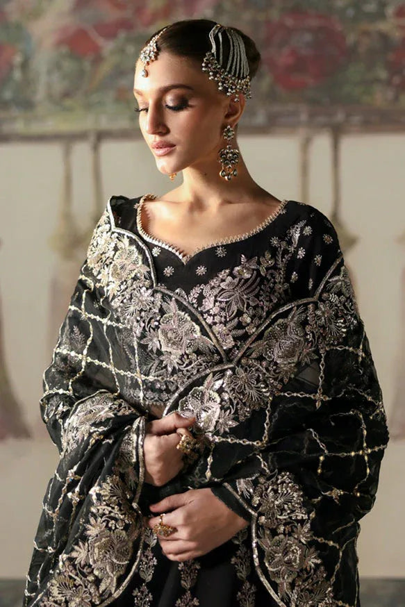 Afrozeh | Divani Silk Edit 25 | Husnara - Rang-e-Khaas