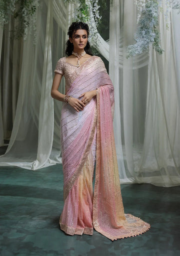Aik Atelier | Sari Edit 2024 | SARI EDIT '24 VOL. 1 - LOOK 07 - Rang-e-Khaas