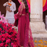 Amal | Kanwal Malik - Rang-e-Khaas