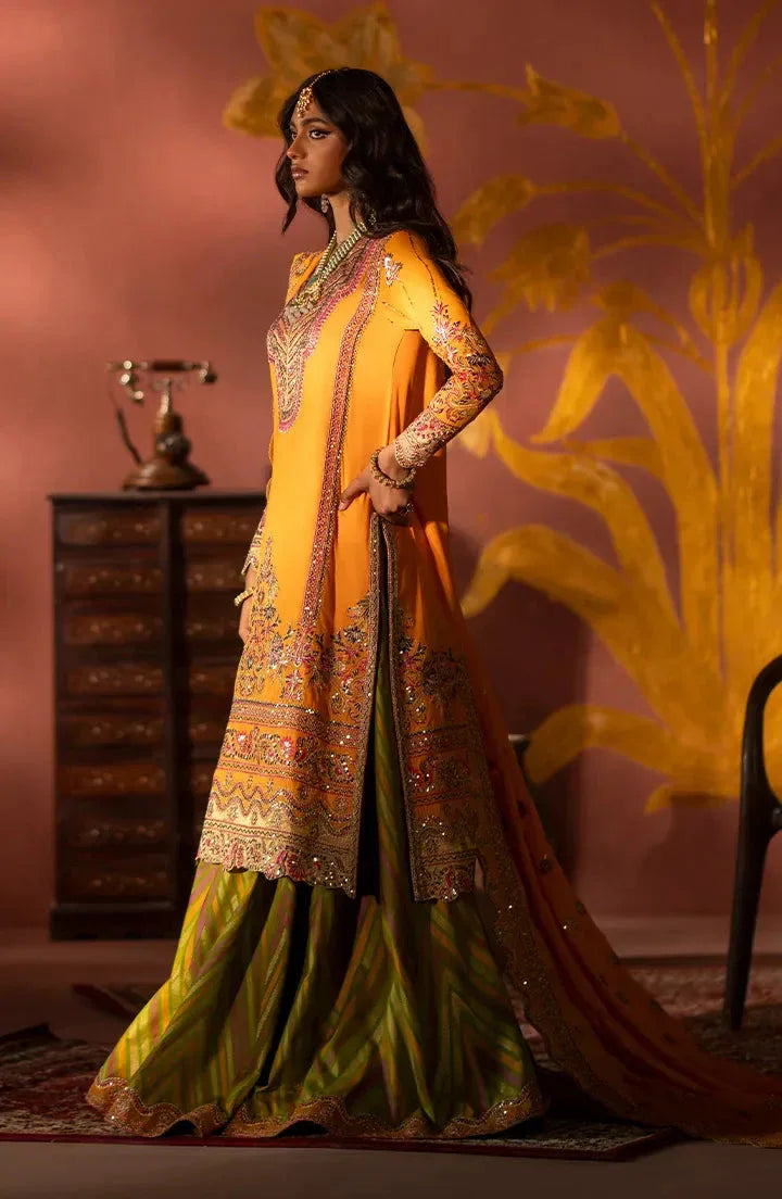 Maryum N Maria | Luxury Formals | ZAMARA - MW24-616 - Rang-e-Khaas