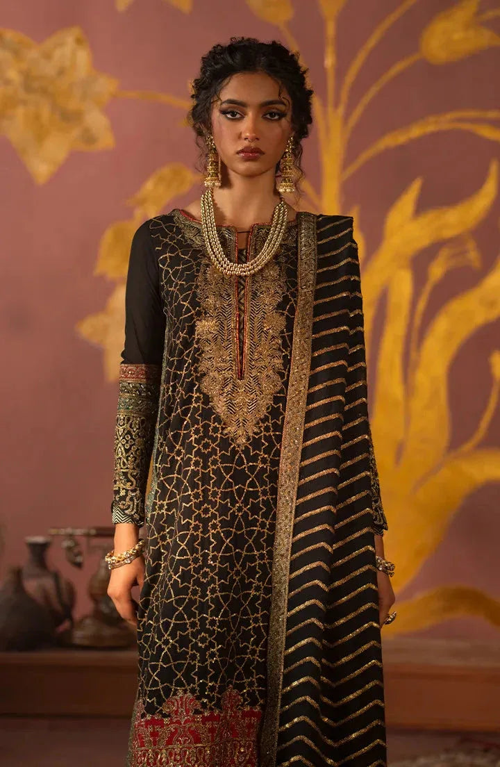 Maryum N Maria | Luxury Formals | AYRIN - MW24-618 - Rang-e-Khaas