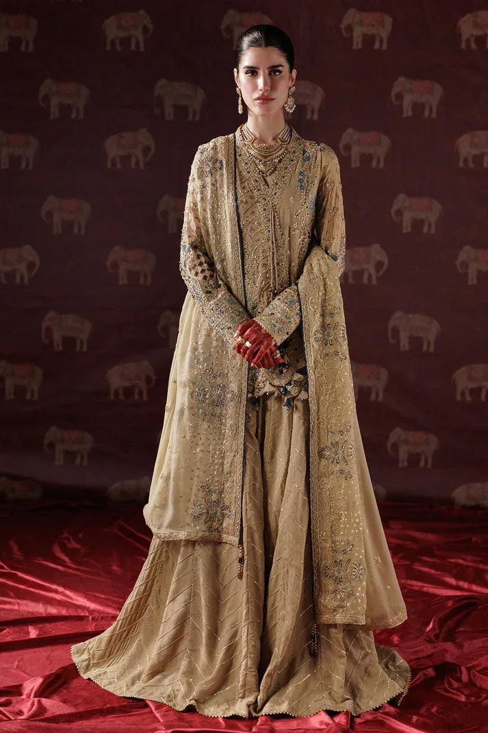 Saad Shaikh | Panache Luxury Chiffon 25 | D-05 - Rang-e-Khaas