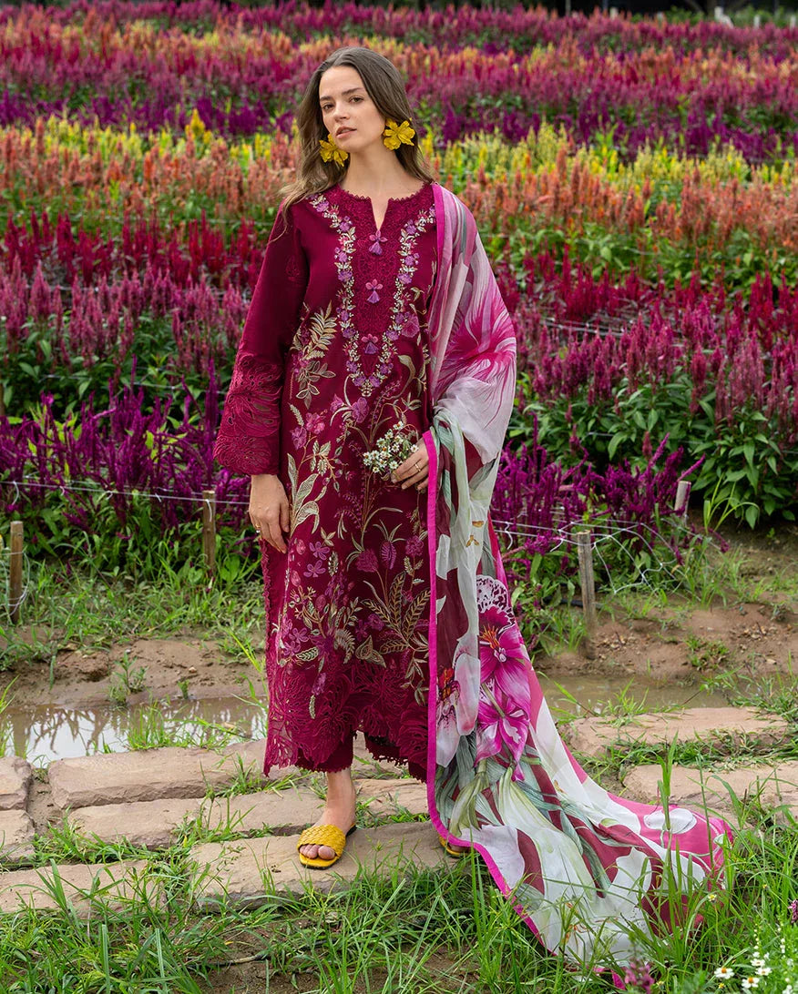 Aurora Petals - Rang-e-Khaas