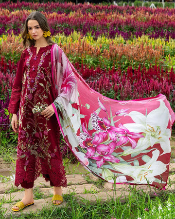 Aurora Petals - Rang-e-Khaas