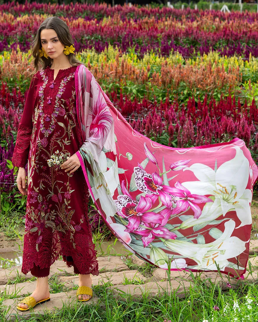 Aurora Petals - Rang-e-Khaas