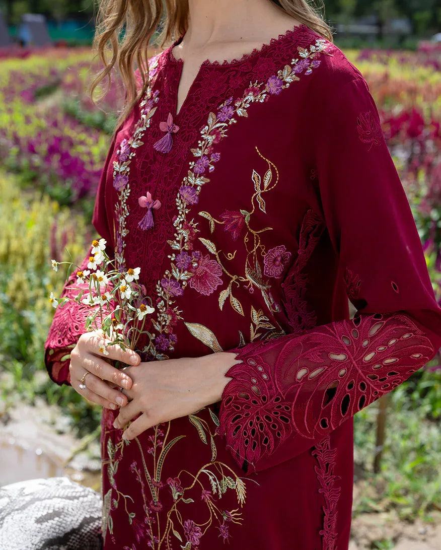 Aurora Petals - Rang-e-Khaas