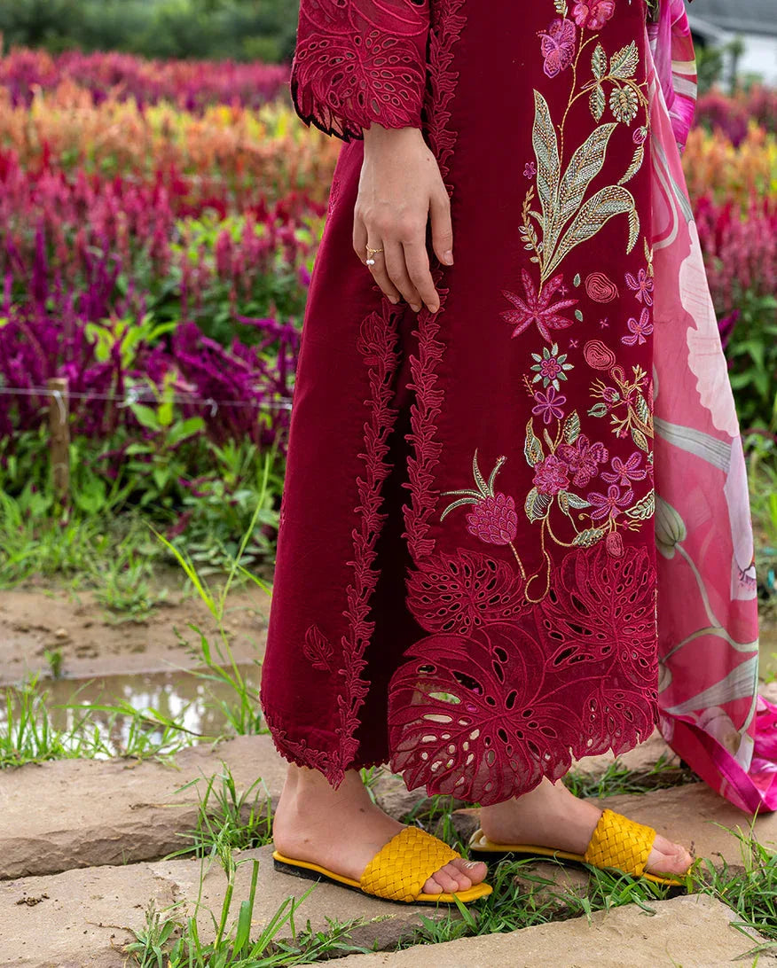 Aurora Petals - Rang-e-Khaas