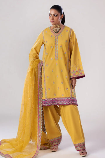 Charizma | Festive Pret | CNP-4-047 - Rang-e-Khaas
