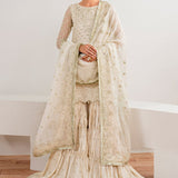 Baroque | Velvet Formals | CHIFFON UF-687