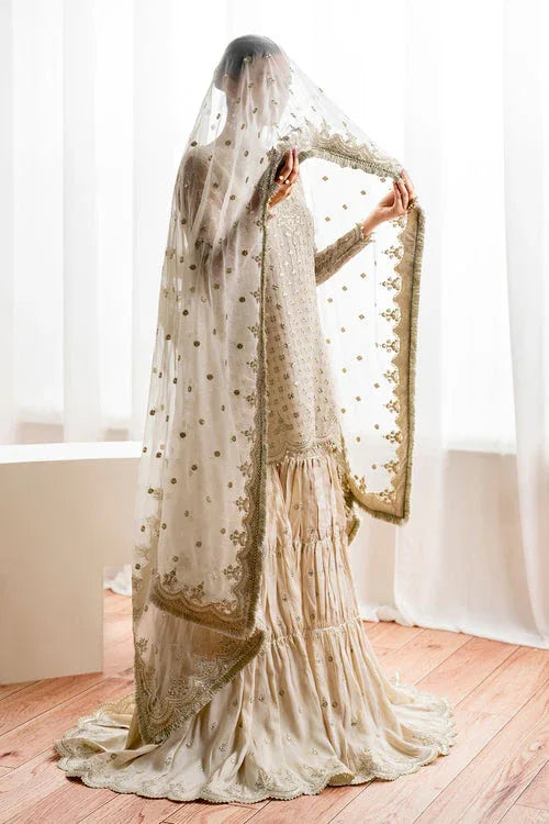 Baroque | Velvet Formals | CHIFFON UF-687 - Rang-e-Khaas