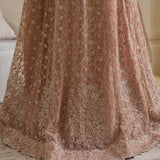 IZNIK Chinon Vol-02 Embroidered Net 3Pc Suit CC-43