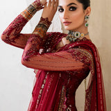 IZNIK Chinon Vol-02 Embroidered Net 3Pc Suit CC-49