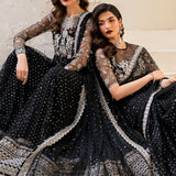 IZNIK Chinon Vol-02 Embroidered Net 3Pc Suit CC-50