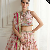 Crimson | A Beautiful Chaos Wedding Collection | Chinoiserie Lehnga