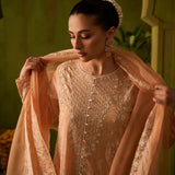 Dhanak | Festive Formals | SS24DU-3199 L-PINK 3Pcs