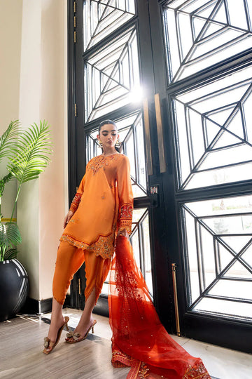 Dhanak | SS 25 Luxury Pret | SS25DL-0314 - Rang-e-Khaas