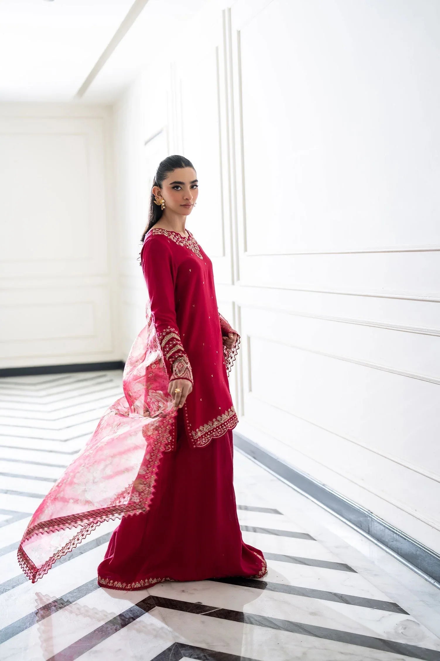 Dhanak | SS 25 Luxury Pret | SS25DL-0319 - Rang-e-Khaas