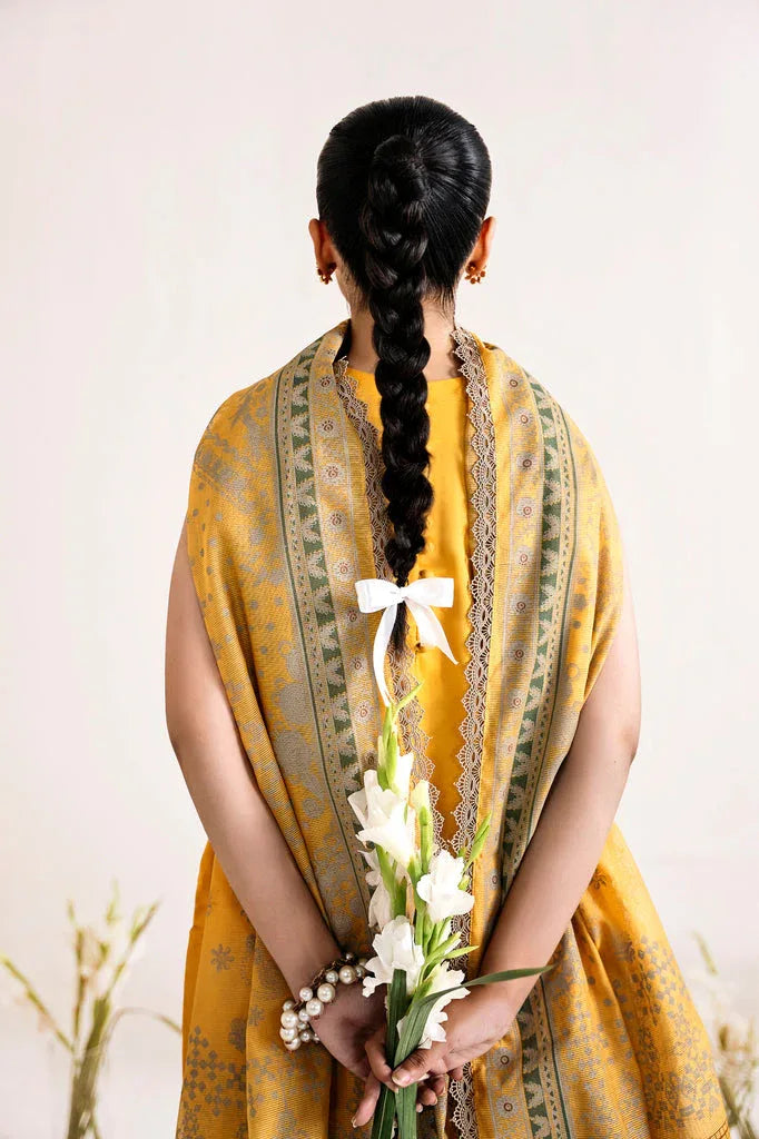 Florent | Festive Lawn 24 | FLF - 1B - Rang-e-Khaas