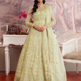 Dastoor | Airah Festive 25 | Opaline