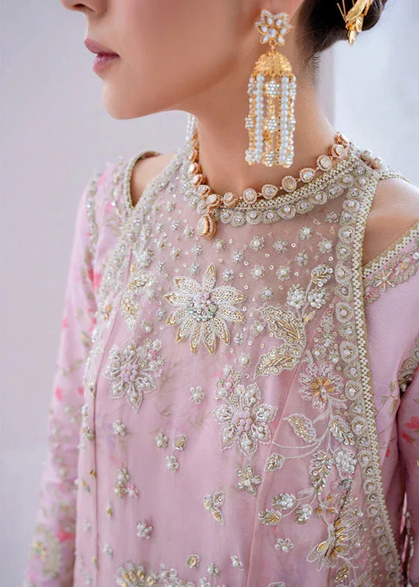 Suffuse | Freeshia Formal | FALEK - Rang-e-Khaas