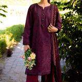 Neeshay | Summer Lines Printkari | CRIMSON
