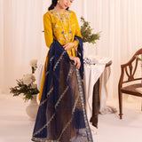 Faiza Faisal | Celine Eid 25 | FREYA