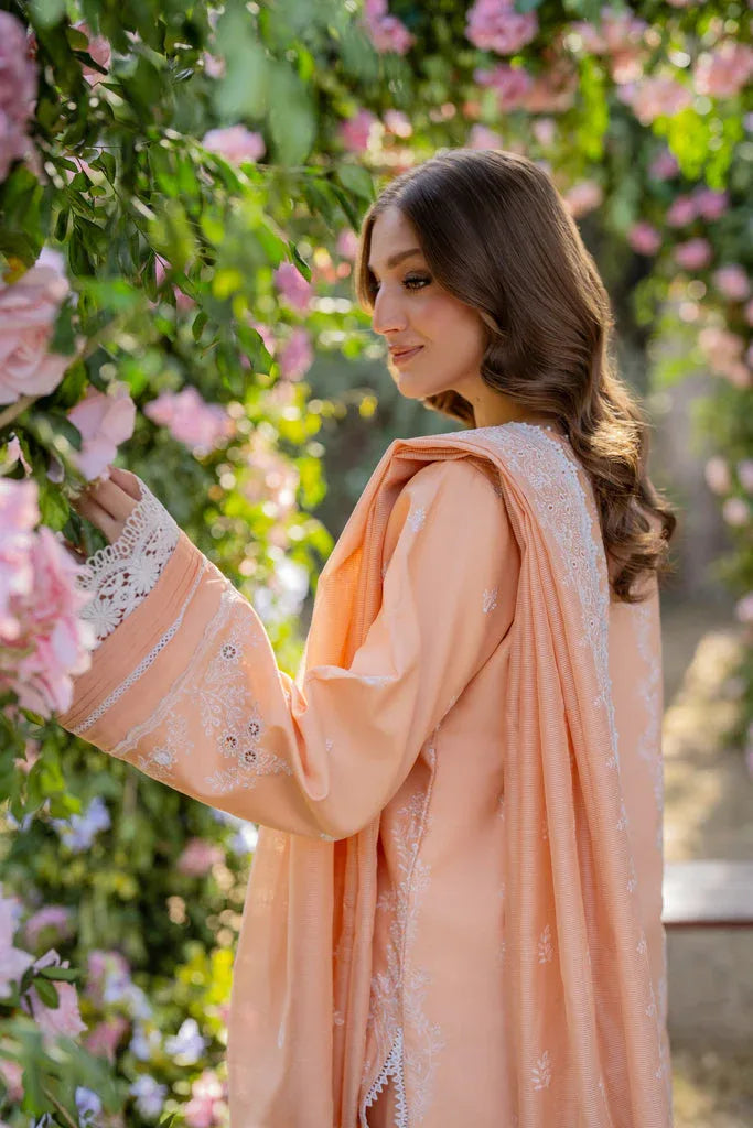 Florent | Chikankari Eid 25 | FLC-1B - Rang-e-Khaas