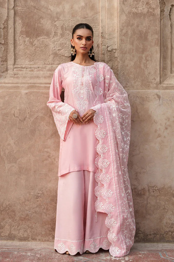 Saad Shaikh | Zaria Festive Pret 25 | BLUSH - Rang-e-Khaas