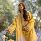 Florent | Chikankari Eid 25 | FLC- 3A