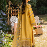 Florent | Chikankari Eid 25 | FLC- 3A