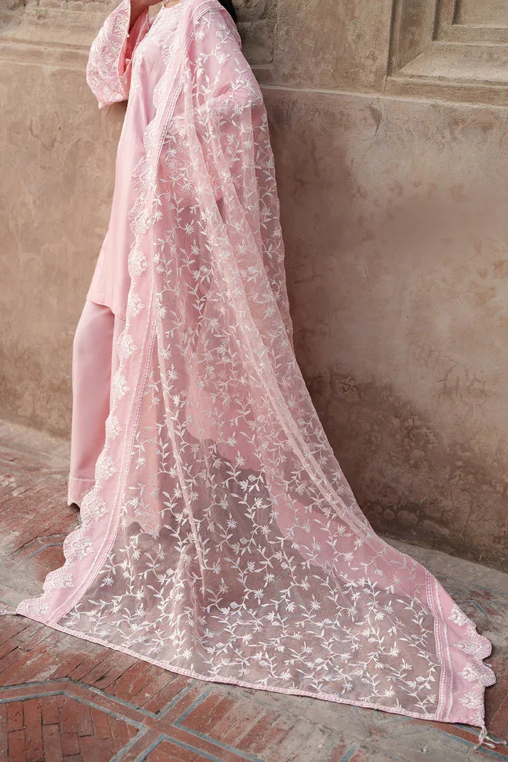 Saad Shaikh | Zaria Festive Pret 25 | BLUSH - Rang-e-Khaas