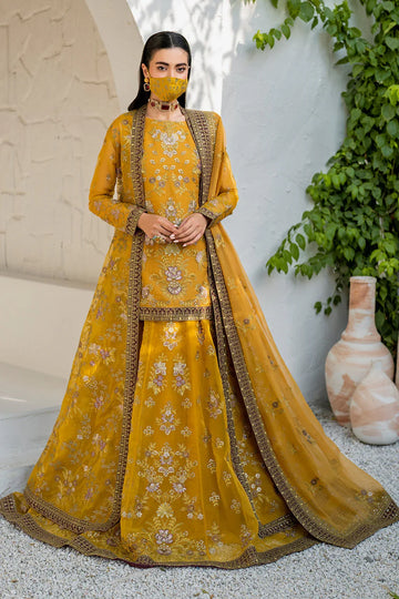 Flossie | Naqsh Formals | S-1404 (B) - Rang-e-Khaas