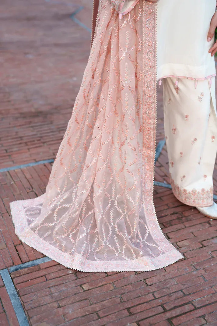 Saad Shaikh | Zaria Festive Pret 25 | CHENTLY - Rang-e-Khaas