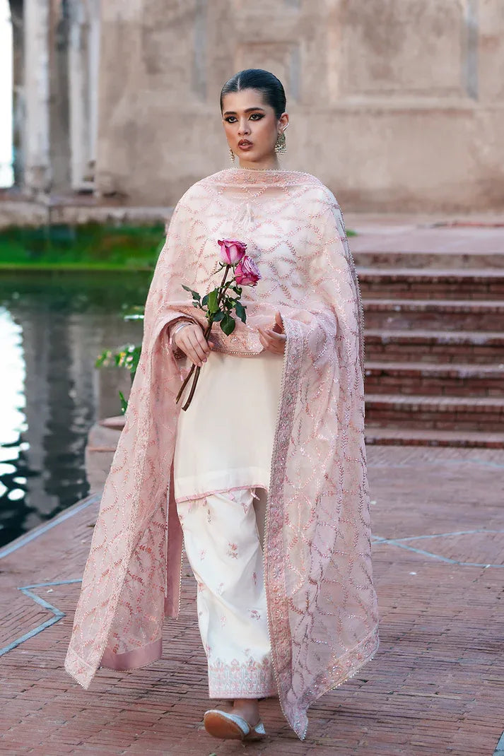Saad Shaikh | Zaria Festive Pret 25 | CHENTLY - Rang-e-Khaas
