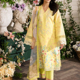 Rangrasiya | Lifestyle Embroidered Edit 24 | SUN KISSED