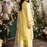 Rangrasiya | Lifestyle Embroidered Edit 24 | SUN KISSED