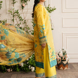 Rangrasiya | Lifestyle Embroidered Edit 24 | SERENA