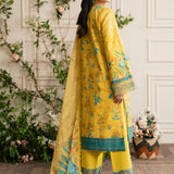 Rangrasiya | Lifestyle Embroidered Edit 24 | SERENA
