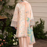 Rangrasiya | Lifestyle Embroidered Edit 24 | BLUSH